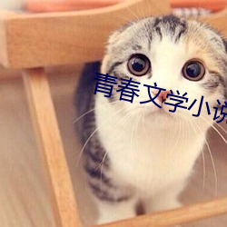 金年会(中国)官方网站
