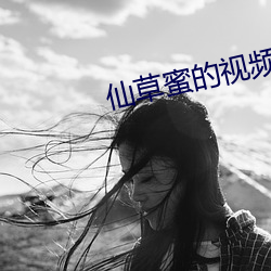 ca88手机客户端(安卓/苹果)CA88会员登录入口