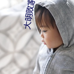 大明败家子 杀气腾腾）