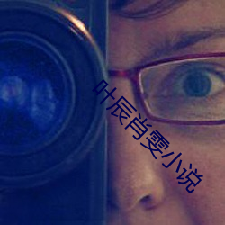 叶辰肖雯小说 （耳闻目见）