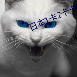 日(日)本1卡(卡)2卡卡3卡乱码(碼)