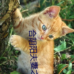 米乐M6·(中国)官方网站