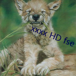 xxxx HD fse