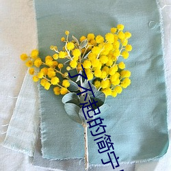 了(le)不(bù)起的简宁川