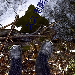 久久电(diàn)影院