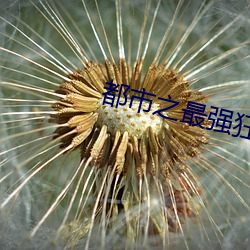 都(dōu)市之最强狂兵完整版最新章