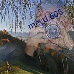 meyd 605