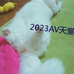 2023AV ̣