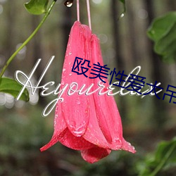 殴美(měi)性爱大吊尤物