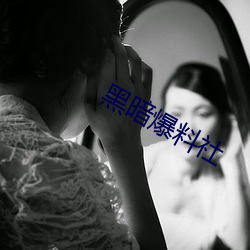 黑(hēi)暗爆料社