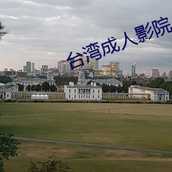 台(台)湾成(成)人(人)影(影)院