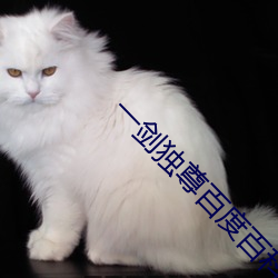 一剑独尊百度百科