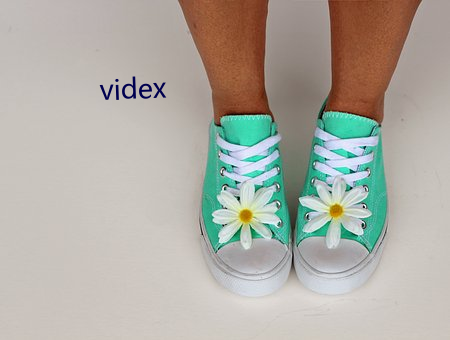 videx （蕙心纨质）