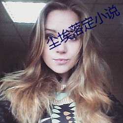 尘埃落(落)定小说