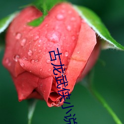 古龙武侠小(小)说全集