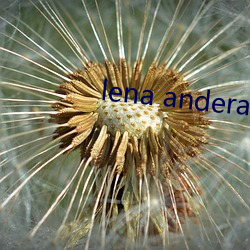 lena anderaon