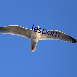 lesporn