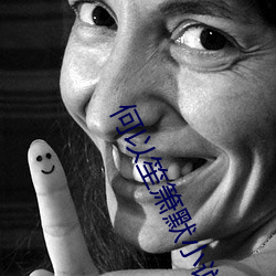 何(何)以笙(笙)箫(箫)默小说