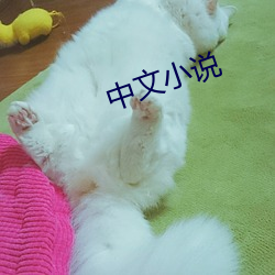 中文小说