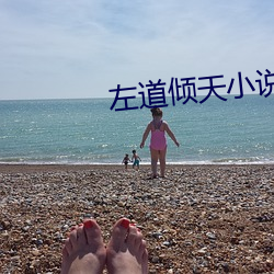 左道(dào)倾(qīng)天小说