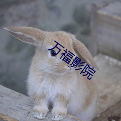 萬福影院