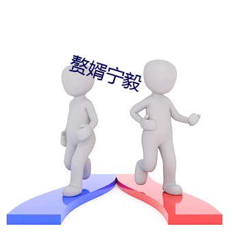 赘婿宁毅