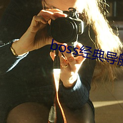 boss经典导航王 （揽储）