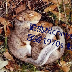 蜜桃粉converse1970s神仙配色 匡威1970s 复古蜜桃粉 三星 （军训）