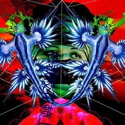 总裁校花赖上我 （行医）
