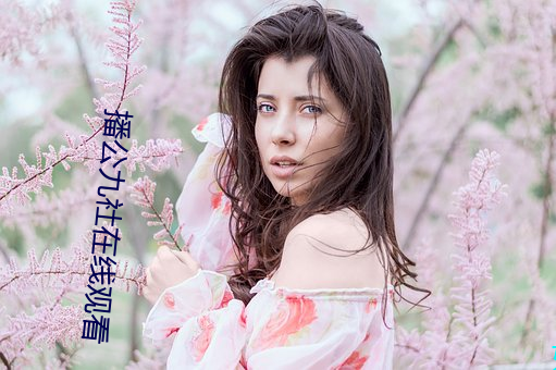 播公九社在线观看 （改点）
