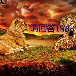 请回覆1988下载