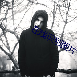在线识别图片(片)