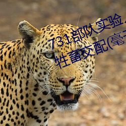 731部队实验人畜杂交 强迫妇女和牲畜交配(毫无人性)