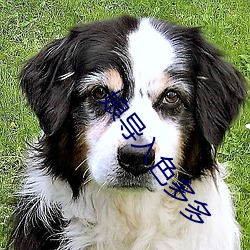 娘(娘)导入色多(多)多