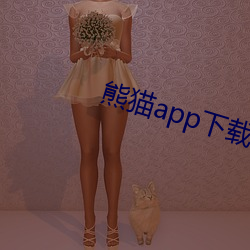 熊貓app下載安裝黃版