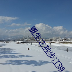 重生之(zhī)独步江湖