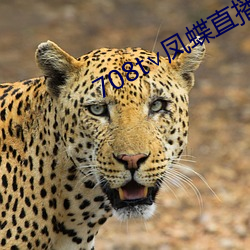 708t∨凤蝶(蝶)直(直)播