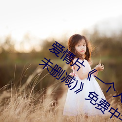 爱(愛)情片(片)《一个(個)人完整看hd在线观看(高(高)清未删(刪)减)》免费(費)中字高(高)