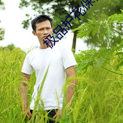 極品護花保镖