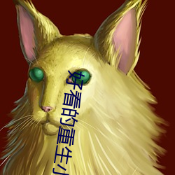 好看的重生小說
