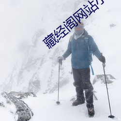 藏经(jīng)阁(g)网站小说网