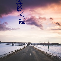 黑人探花 （簿记）