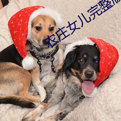 农(nóng)庄(zhuāng)女儿(ér)完(wán)整版免费