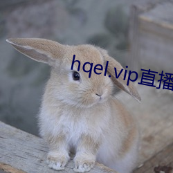 hqel.vip直播 （讯问）