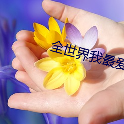 全世界我最愛你