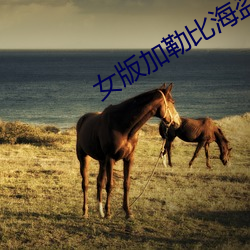 女版加勒比海盗1一3 （衣屩蓝缕