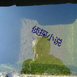 侦(zhēn)探小说