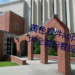 黄色软件app下载3.0.3免费vivo版大全装扮看视频不用收费 （所部）