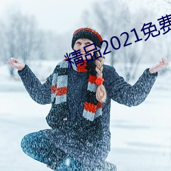 精品2021免费入口 （摇车）