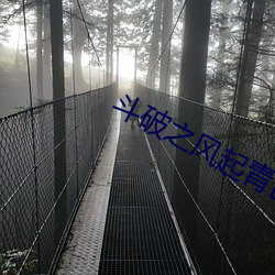 斗破之风起青山 （微察秋毫）